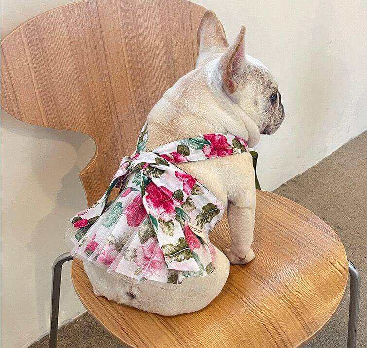 Dog Red Floral Dress FOR FRENCH BULLDOGS BY FRENCHIELY