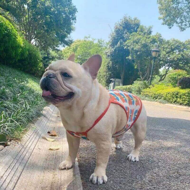 Dog Floral Sun Protection Mesh Shirt by Frenchiely