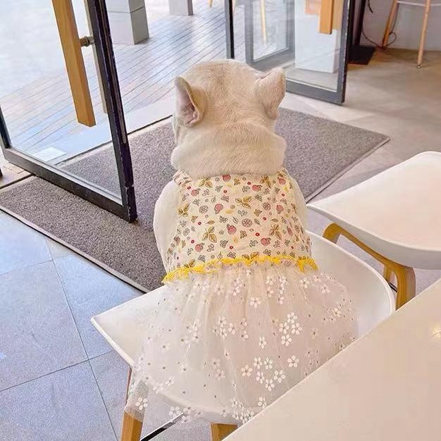 Dog Summer Light Yellow Suspenders Dress - FRENCHIELY