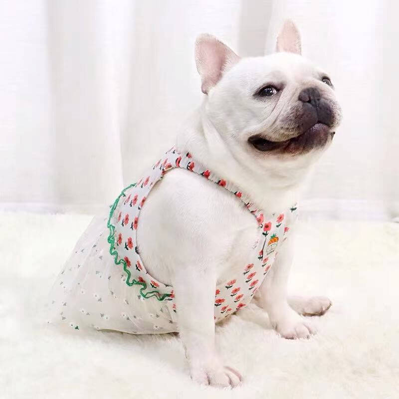 Dog Summer Lace Floral Dress by Frenchiely