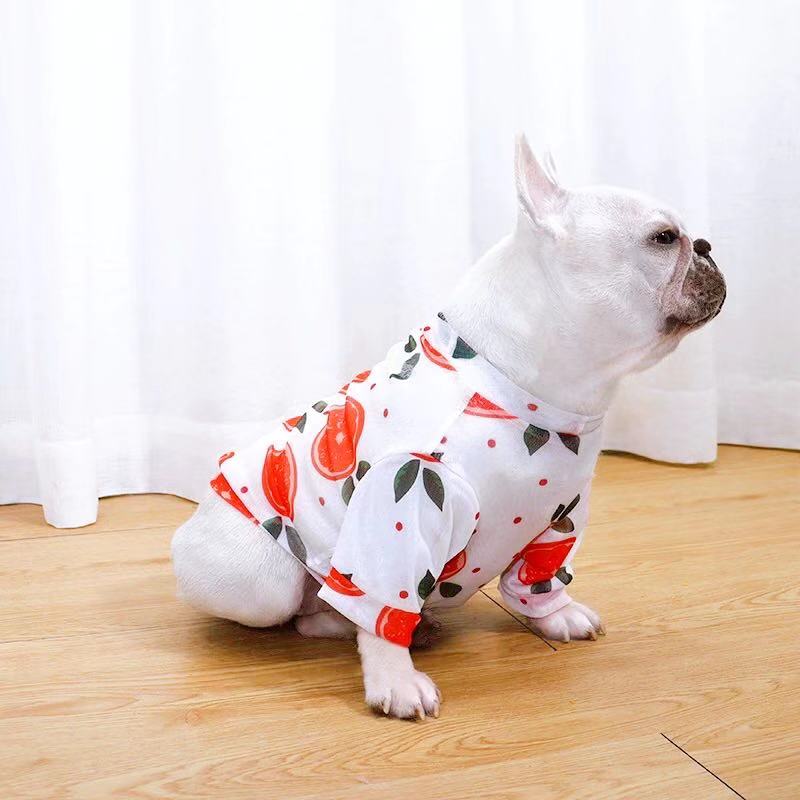 Dog Summer Sun Screen Shield Shirt- Orange - Frenchiely