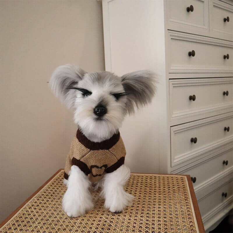 small medium dog winter clothes