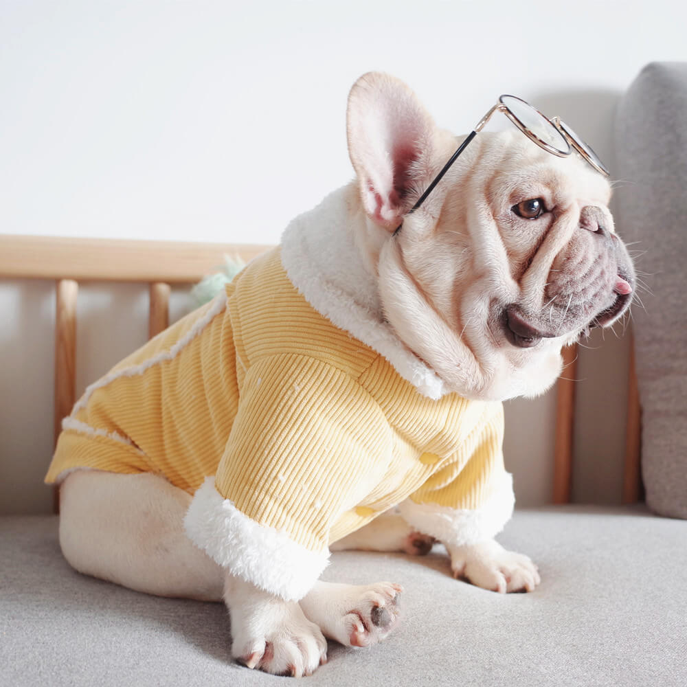 Dog Winter Jacket Coat with Fur Collar - Frenchiely