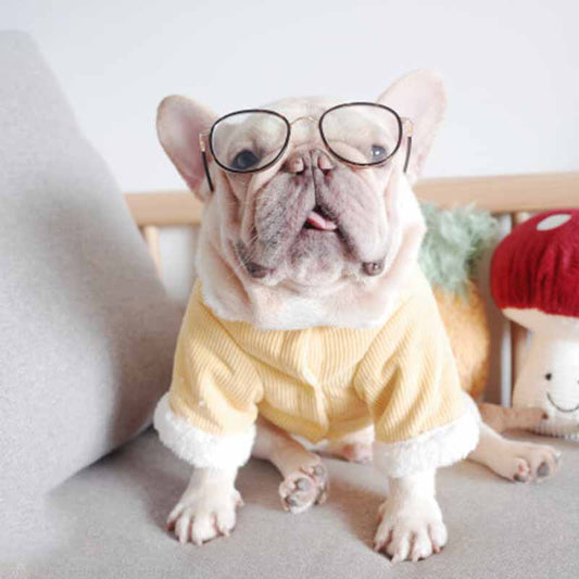 Winter Coat Yellow Frenchielydogwinterjacketcoatwithfurcollarformediumdogs09