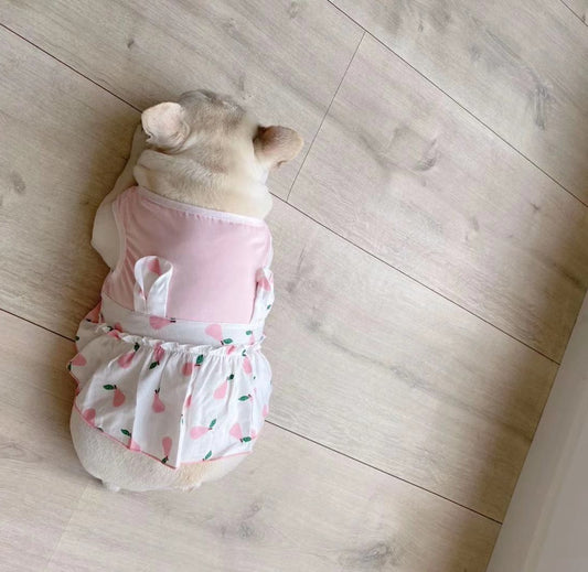 Cartoon Female Dog Summer Dress - Frenchiely