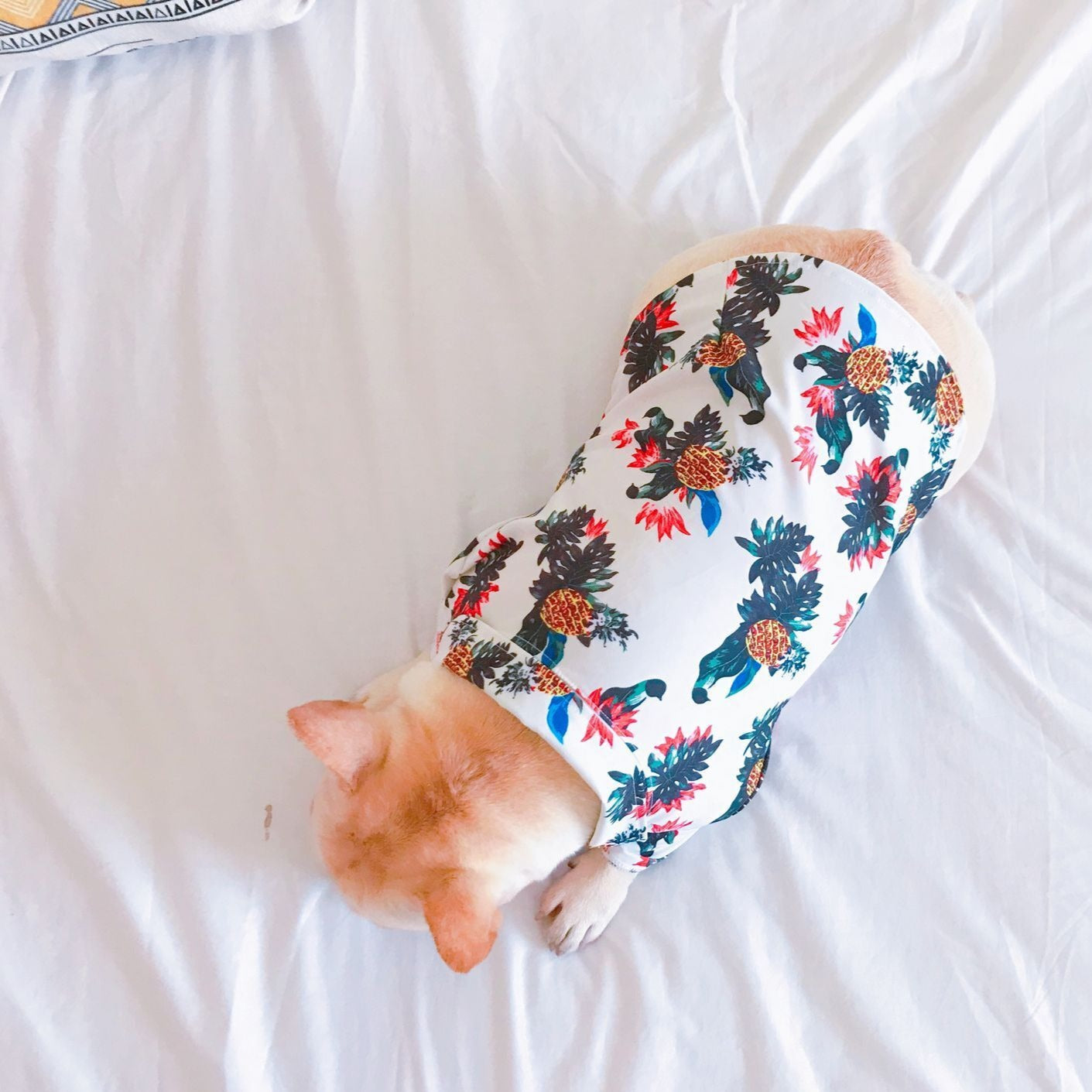 White Hawaiian shirts for French Bulldog - Frenchiely