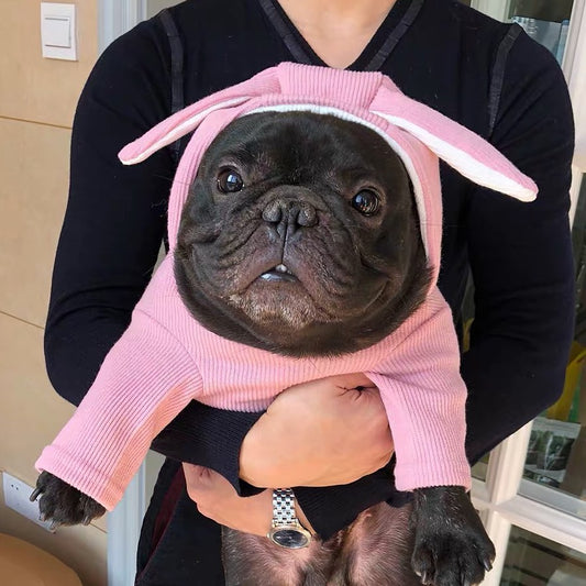 Cotton Bunny Hoodie Frenchielyfrenchbulldogdogbunnyhoodieformediumdogs