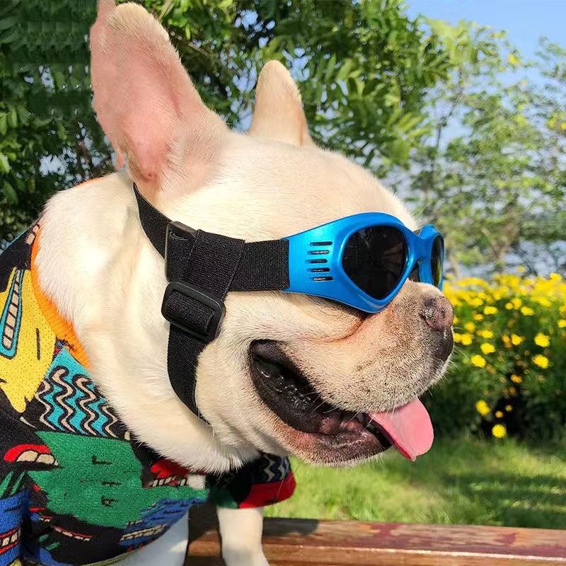 French Bulldog Sunglasses Dog Goggles- Updated Version - Frenchiely