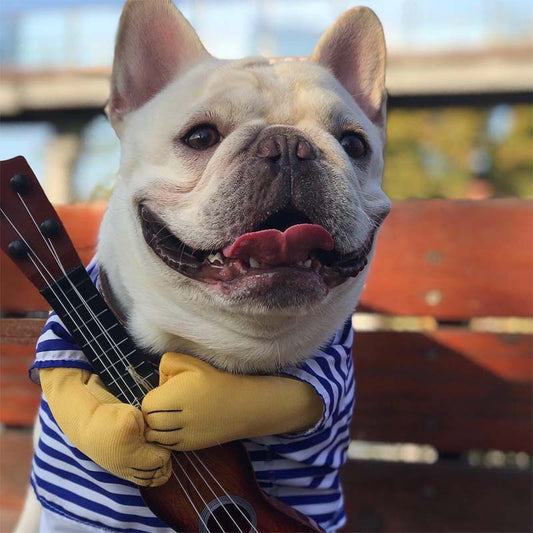 Dog Guitar Costume - Frenchiely