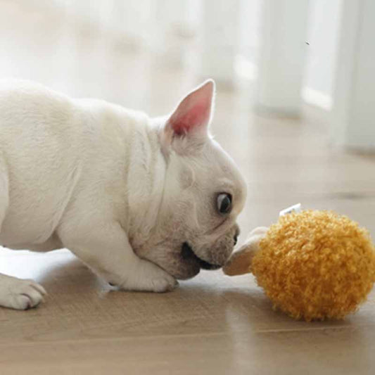 Squeaky Toy FrenchielyfrenchbulldogpuppychewingplushHamburgerandfriedchipstoy001