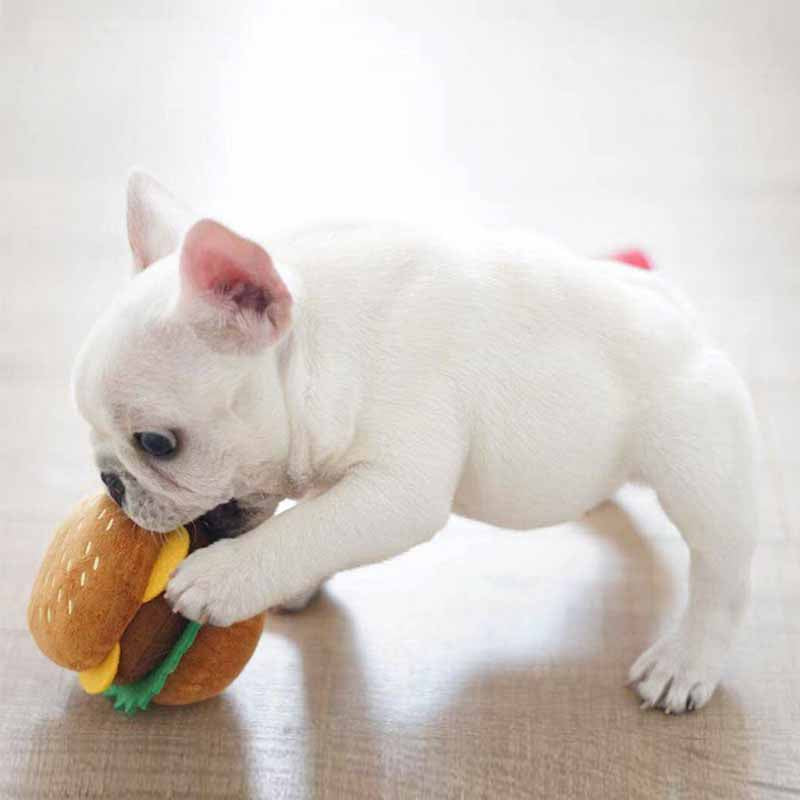 Dog Squeaky Toy Frenchiely