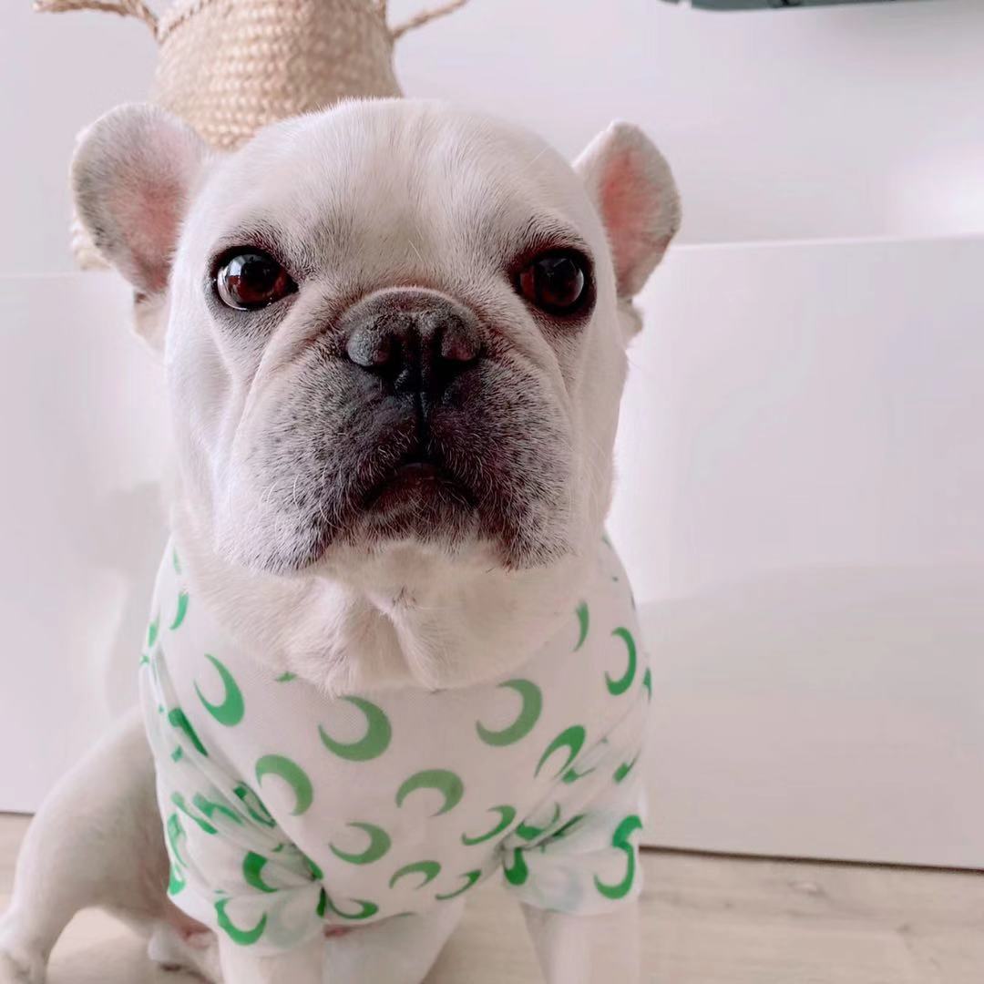 French Bulldog Daisy & Lemon Sun Shield Shirt - Frenchiely