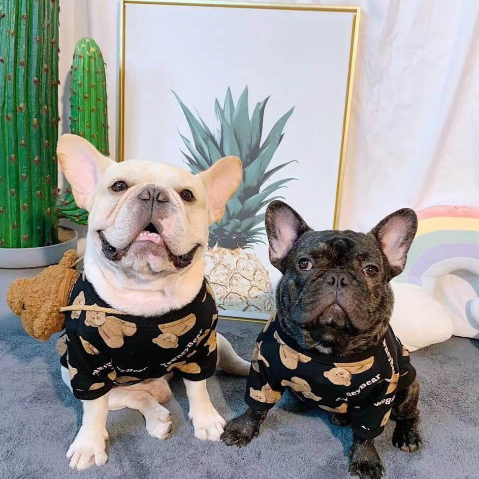 Frenchiely Dog Cartoon Bear Sweater with Bear Bag 1