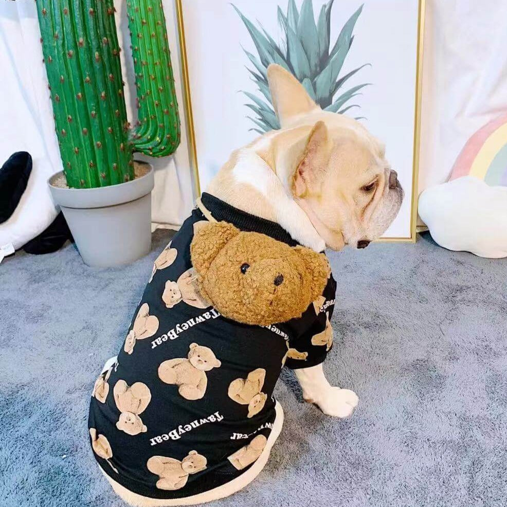 Frenchiely Dog Cartoon Bear Sweater with Bear Bag4