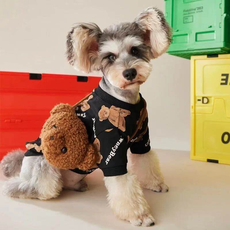Bear Bag Sweater Frenchielyfrenchbulldogwinterblacksweaterjumperwithbearbag08