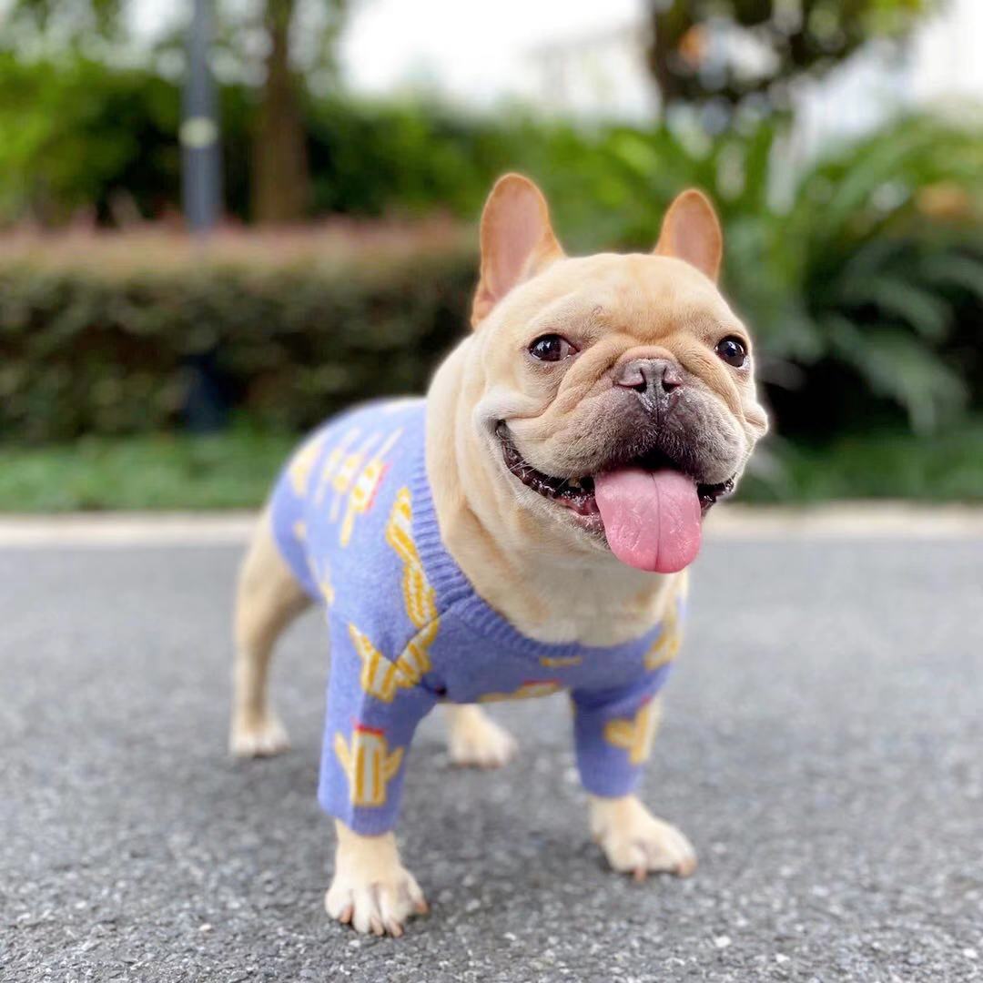 Frenchiely french bulldog winter cactus sweater jumpers 0