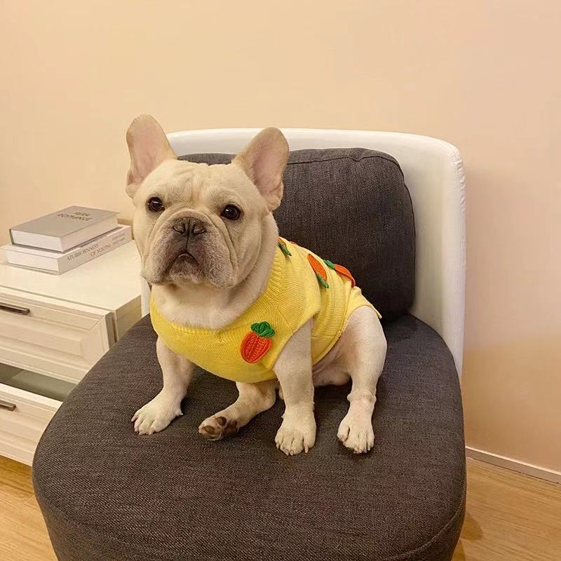 French Bulldog Winter Carrot Sweater Jumper- FRENCHIELY