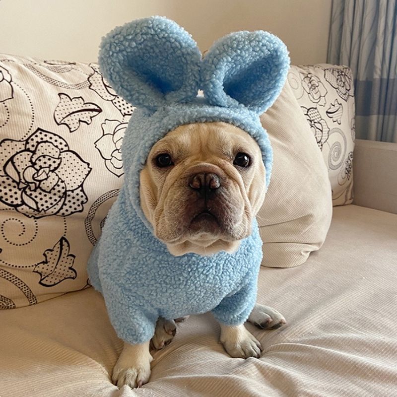 Dog Bunny Hoodie Coat for French Bulldogs by Frenchiely