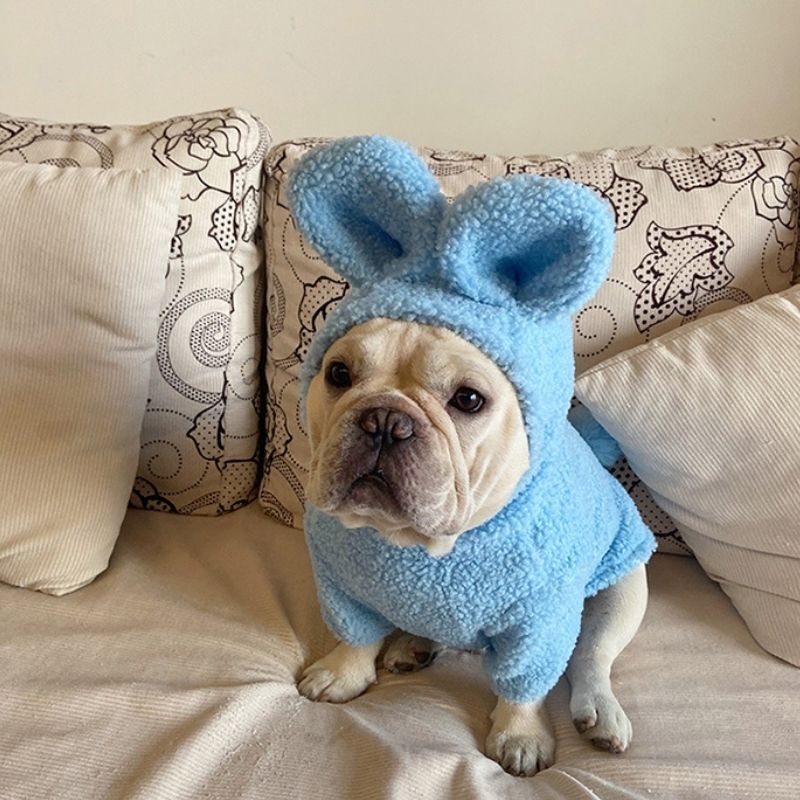 Dog Bunny Hoodie Coat for French Bulldogs by Frenchiely