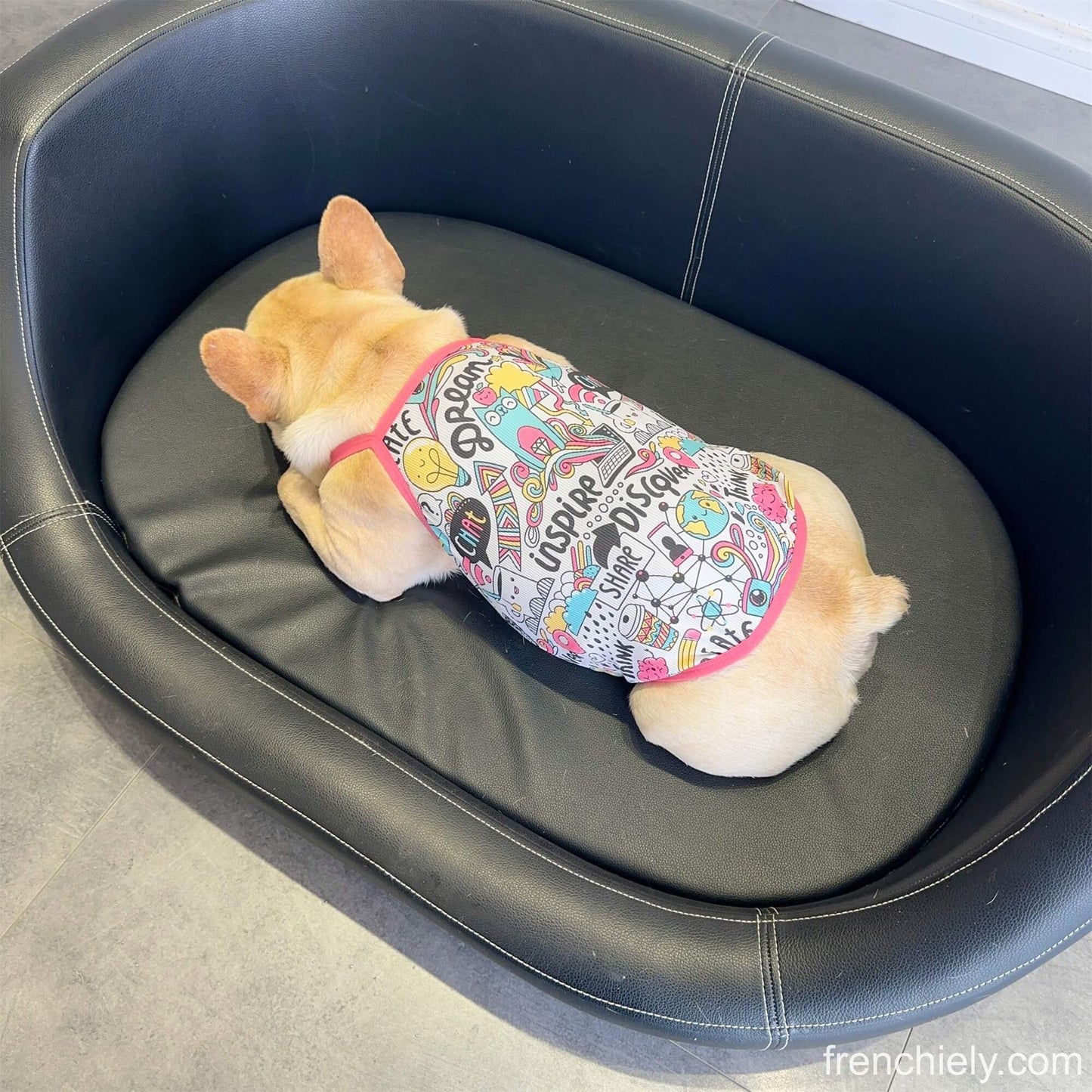 Dog Summer Cooling Mesh Shirt for small medium dogs