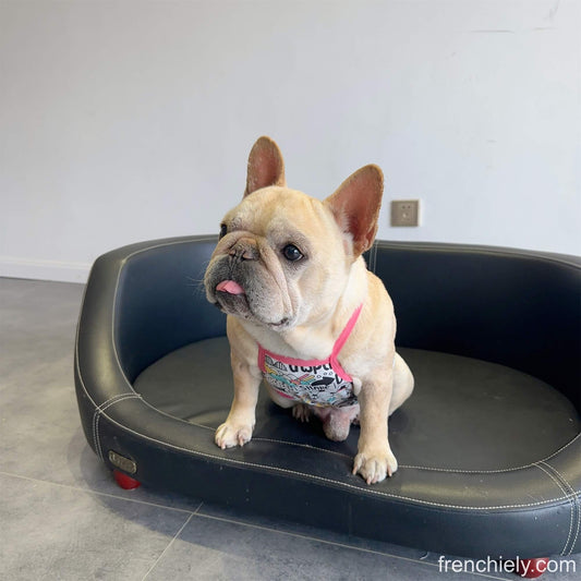 Dog Summer Cooling Mesh Shirt for small medium dogs