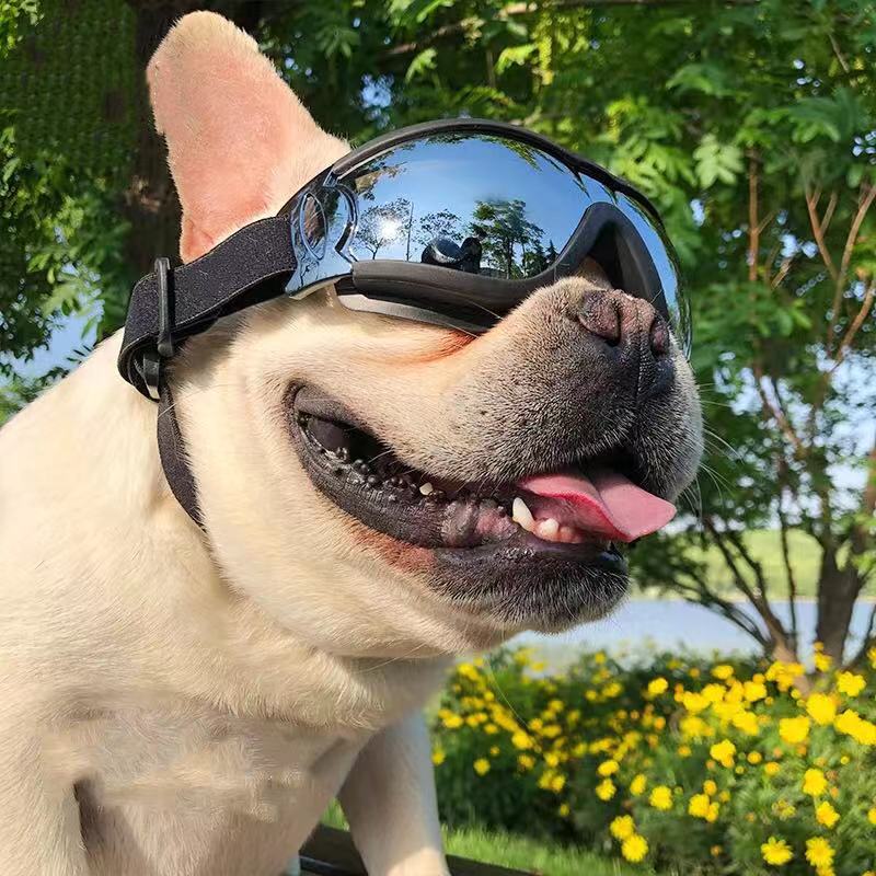 pet goggles Dog UV Waterproof Dog Goggles Sunglasses for Medium Dogs – Frenchiely