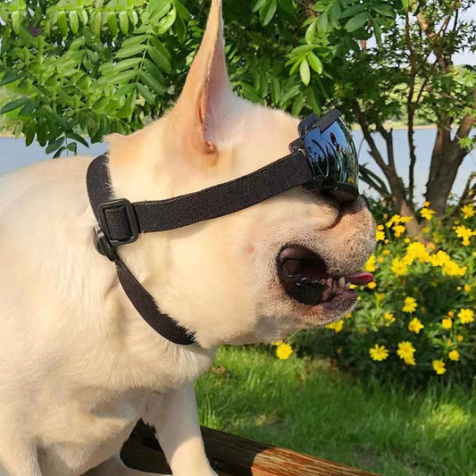Dog UV Waterproof Dog Goggles - Frenchiely