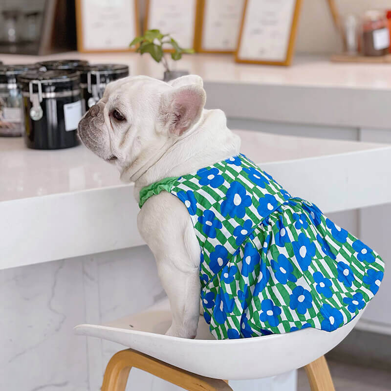 Dog Blue Floral Dress for Medium Dogs | Female Dog Clothes Online Frenchiely Dog Blue Floral Dress for Medium Dogs | Female Dog Clothes Online Frenchiely
