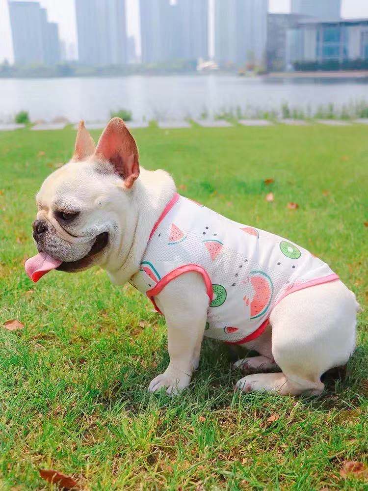 Dog Summer Sun Shield Shirt - Frenchiely