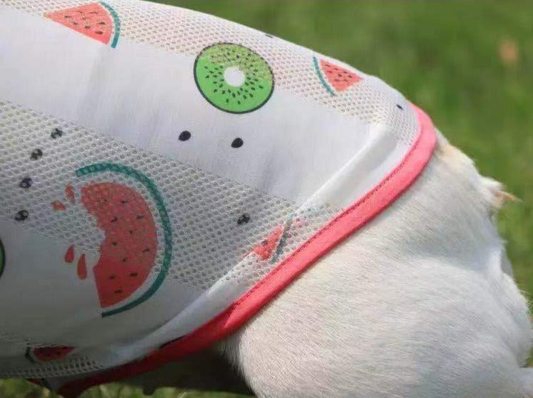 Dog Summer Sun Shield Shirt - Frenchiely