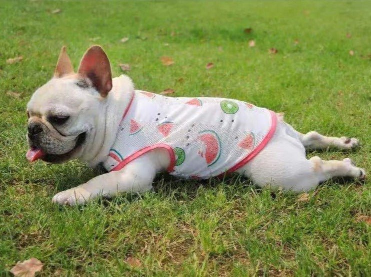 Dog Summer Sun Shield Shirt - Frenchiely