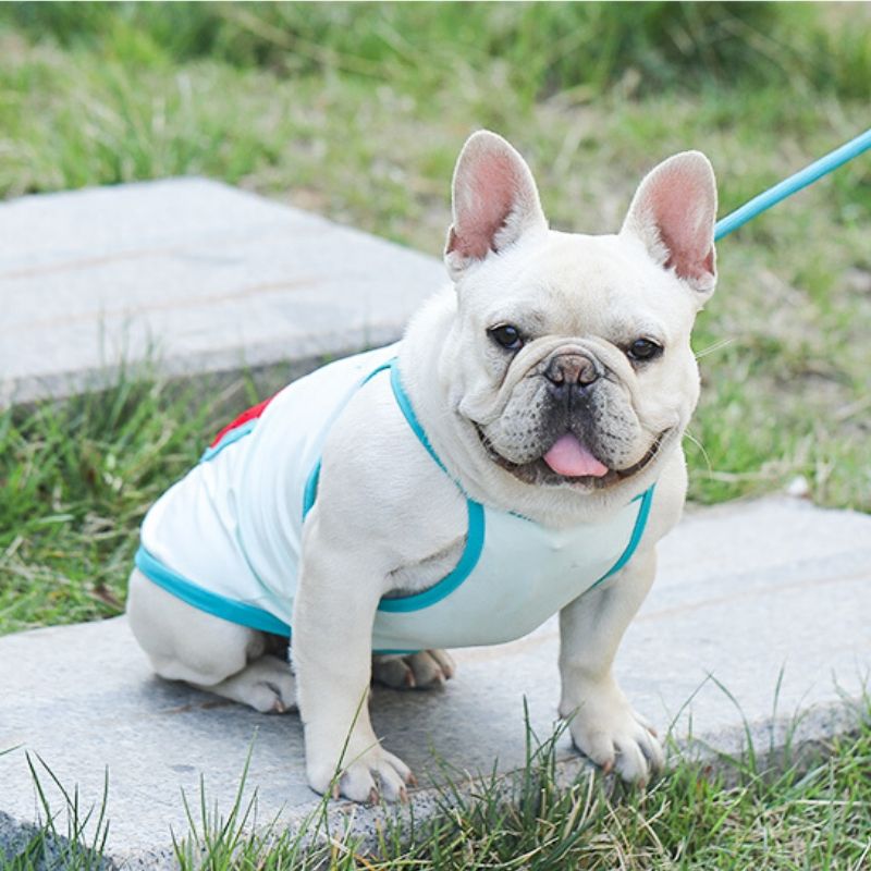 Dog Summer Cotton Shirt with Pocket - Watermelon - Frenchiely
