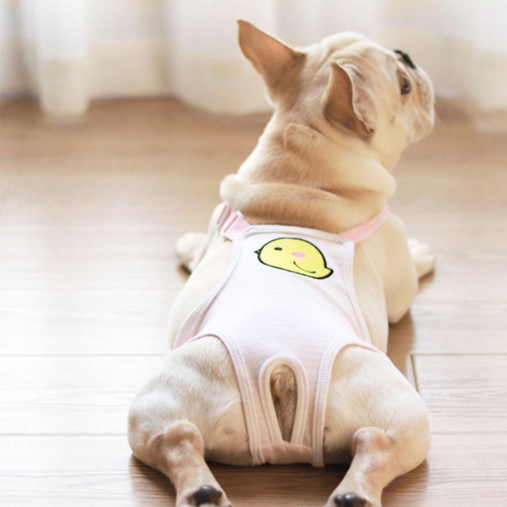 Dog Period Pants with Wings - Frenchiely