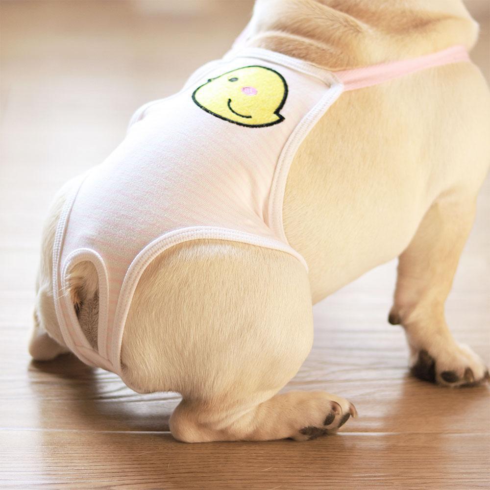 Best Female Pet Dog Sanitary Pants - Frenchiely