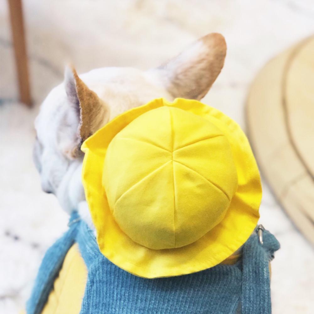 Dog Yellow Hat with Flexible String for Medium Dogs - Frenchiely