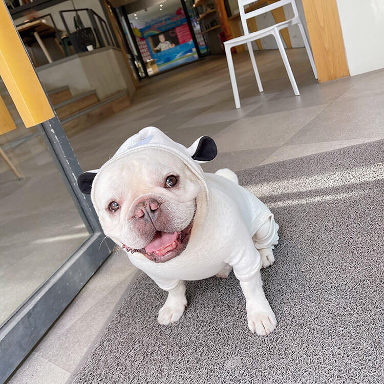 Dog Cartoon Pajamas Jammie for French Bulldogs