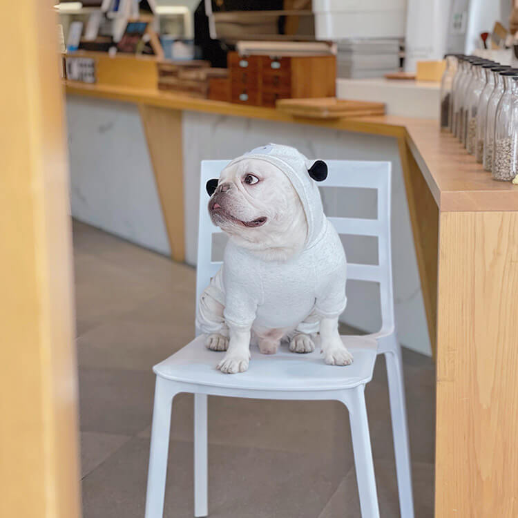 Dog Cartoon Pajamas Jammie for French Bulldogs