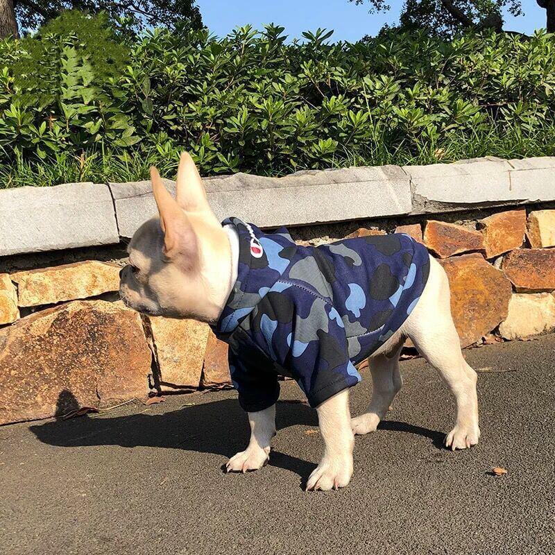 Dog Camo Shark Winter Hoodie for Puppy - Frenchiely