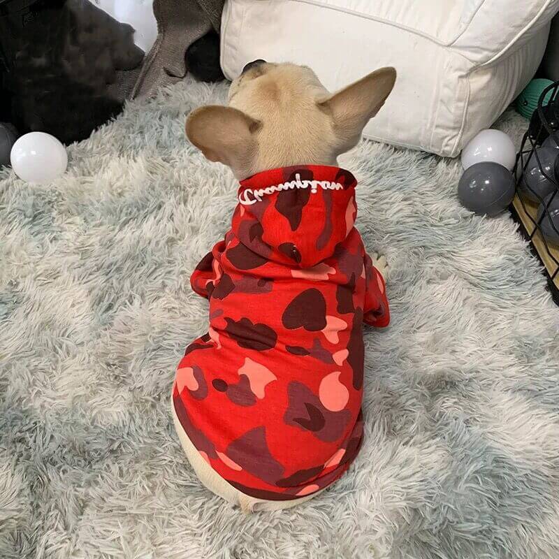 Dog Camo Shark Winter Hoodie for Puppy - Frenchiely