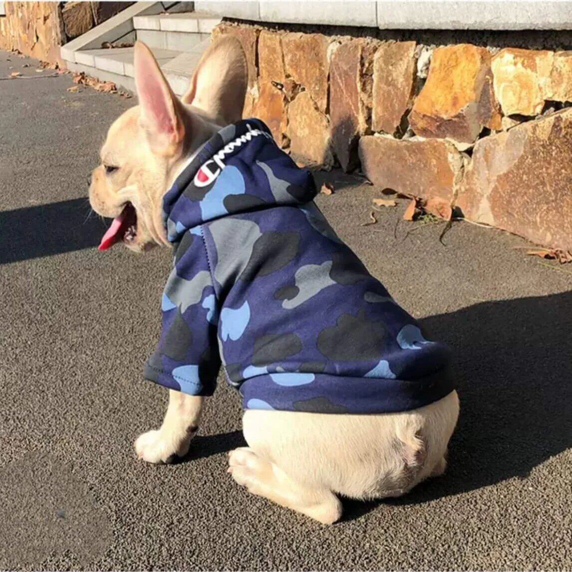 Dog Camo Shark Winter Hoodie for Puppy - Frenchiely