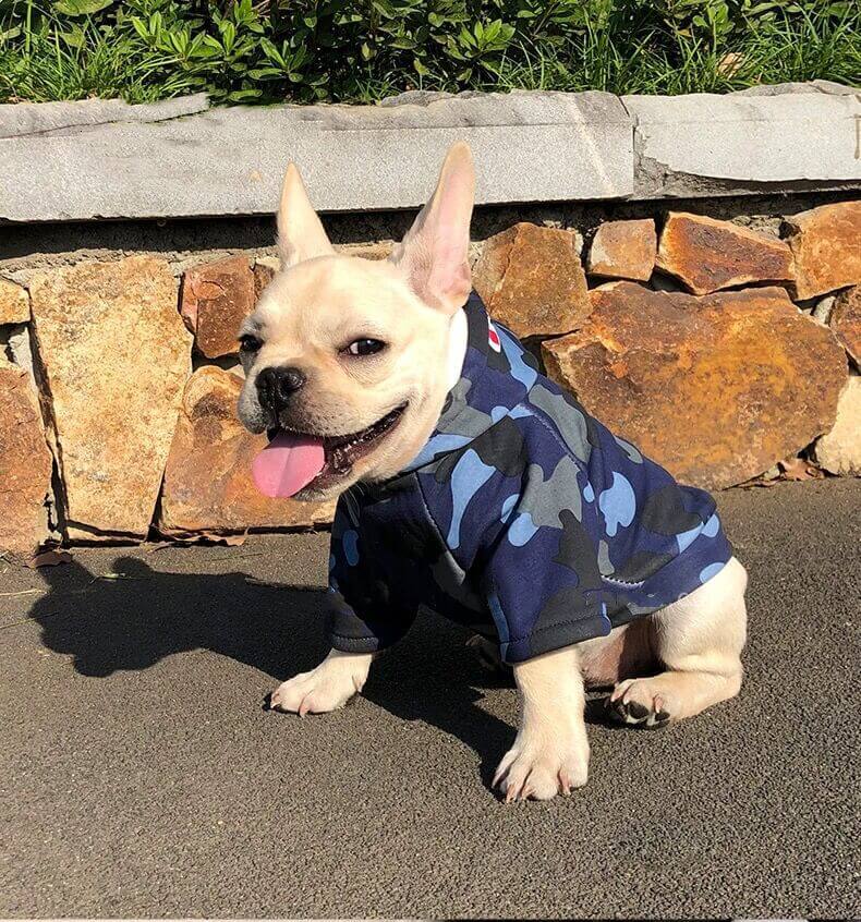 Dog Camo Shark Winter Hoodie for Puppy - Frenchiely