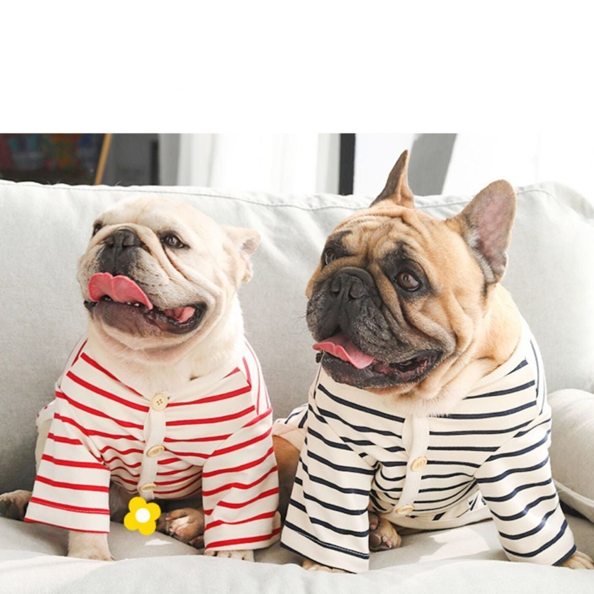 Dog Classic Cotton Stretchy Striped Shirts for Medium Dogs by Frenchiely