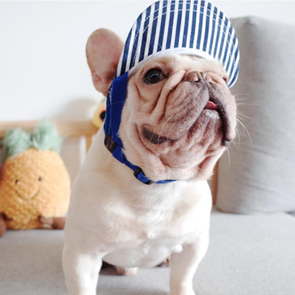 Dog Sunscreen Hat for Medium Dogs - Frenchiely