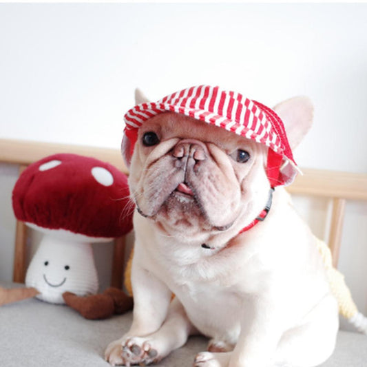 Dog Sunscreen Hat for Medium Dogs - Frenchiely