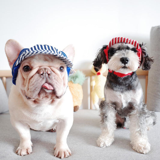 Stripe Sunscreen Cap Stripe_Sunscreen_Hat_for_French_Bulldog_03