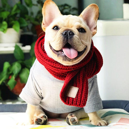 Warm Knitted Scarf Red Unique_Universal_Designed_for_French_Bulldogs_03