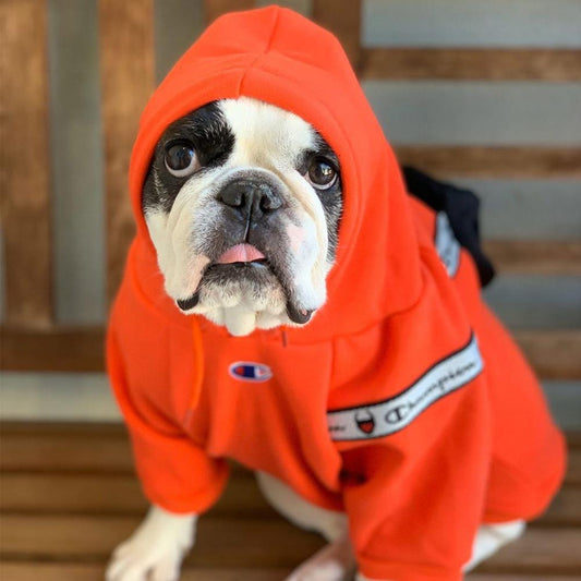 Warm Winter Hoodie with Zipper Bag - Frenchiely