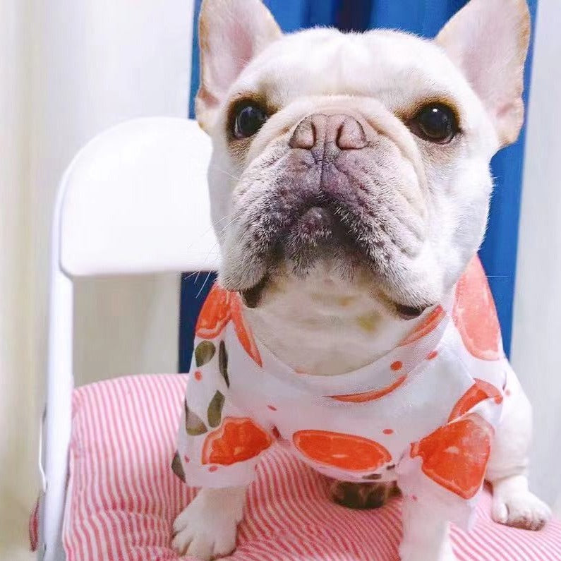 Dog Summer Sun Screen Shield Shirt- Orange - Frenchiely