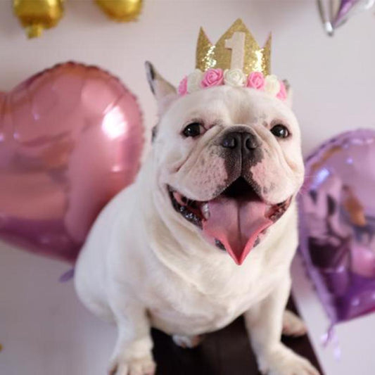 French Bulldog Birthday Decor Flower Hat - Frenchiely