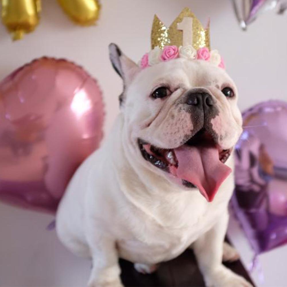 French Bulldog Birthday Decor Flower Hat - Frenchiely